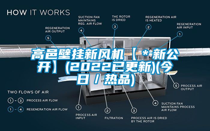 高邑壁掛新風機【＊新公開】(2022已更新)(今日／熱品)