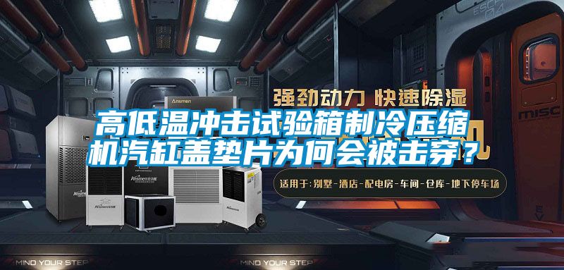 高低溫沖擊試驗箱制冷壓縮機汽缸蓋墊片為何會被擊穿？