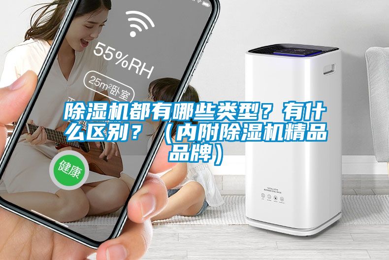 除濕機都有哪些類型？有什么區(qū)別？（內(nèi)附除濕機精品品牌）