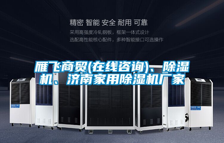雁飛商貿(在線咨詢)、除濕機、濟南家用除濕機廠家