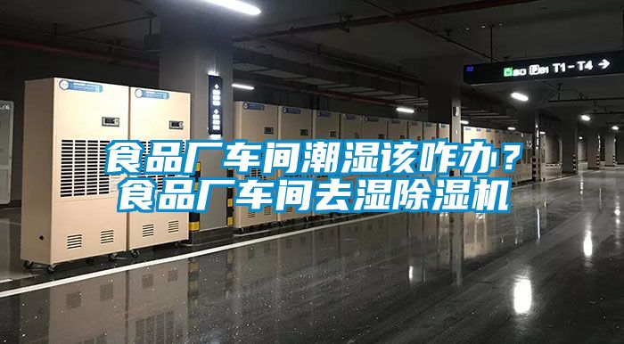 食品廠車間潮濕該咋辦？食品廠車間去濕除濕機(jī)