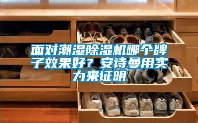 面對潮濕除濕機哪個牌子效果好？安詩曼用實力來證明