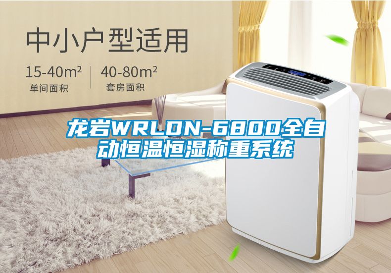 龍巖WRLDN-6800全自動(dòng)恒溫恒濕稱(chēng)重系統(tǒng)